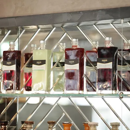 Aurelia Hotel Aldingen (Tuttlingen)