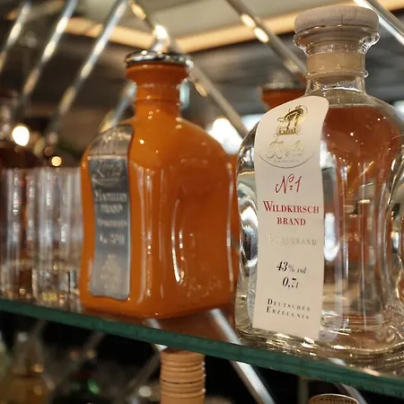 Aurelia Hotel Aldingen (Tuttlingen)